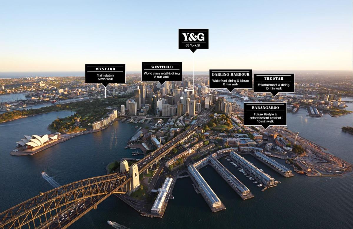 York & George: Cbd *